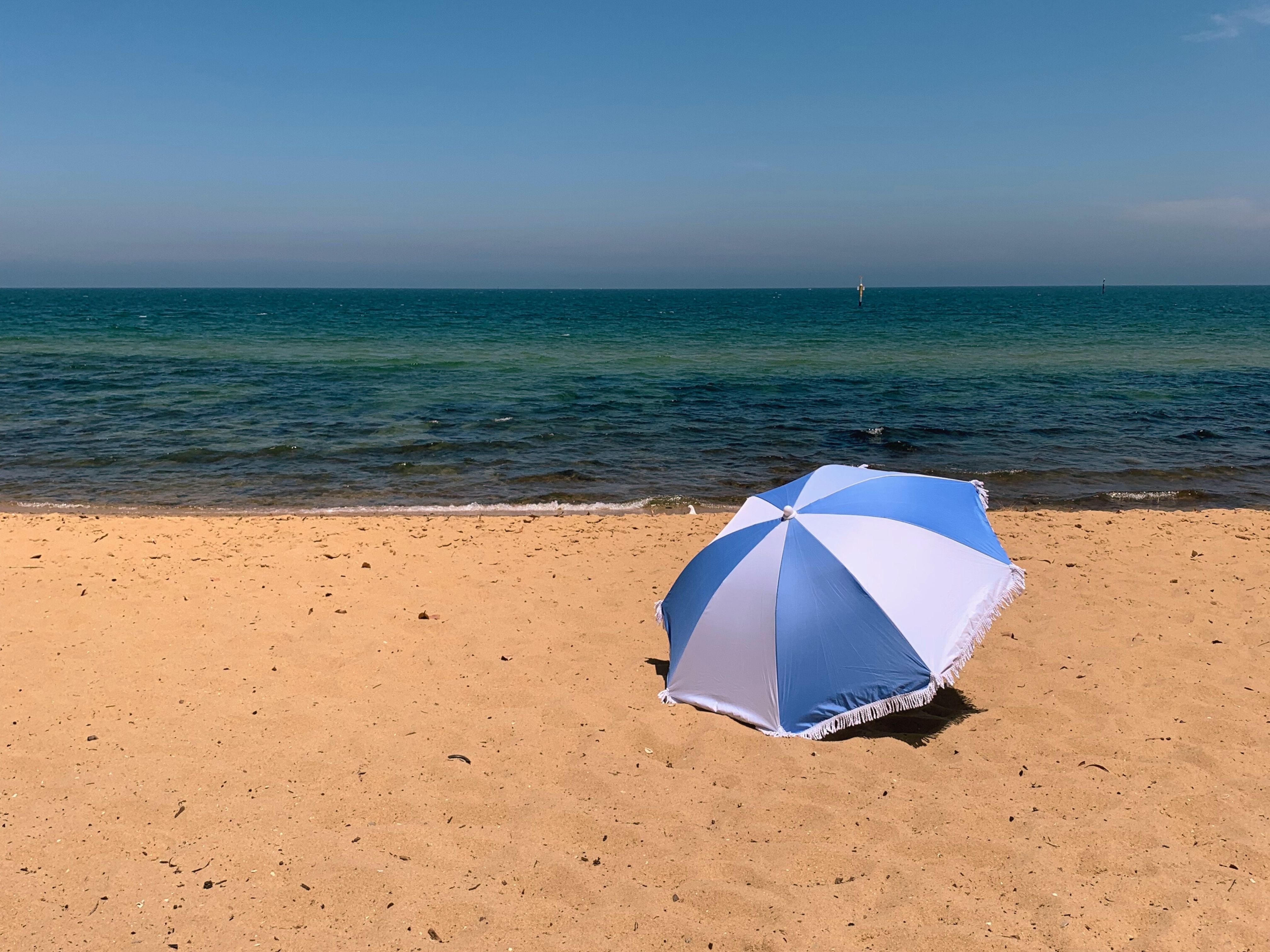 sandringham_beach