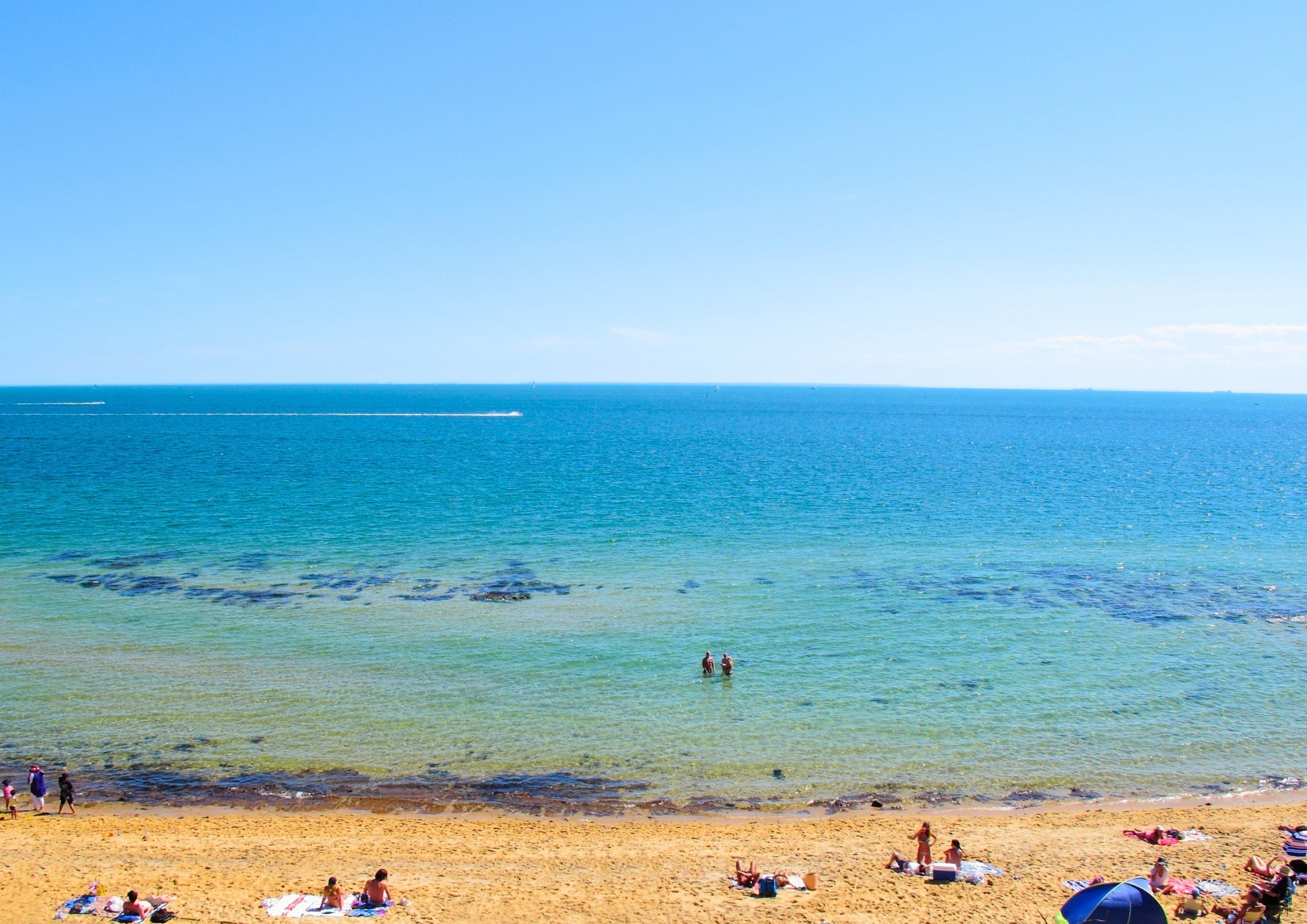 Sandringham Beach