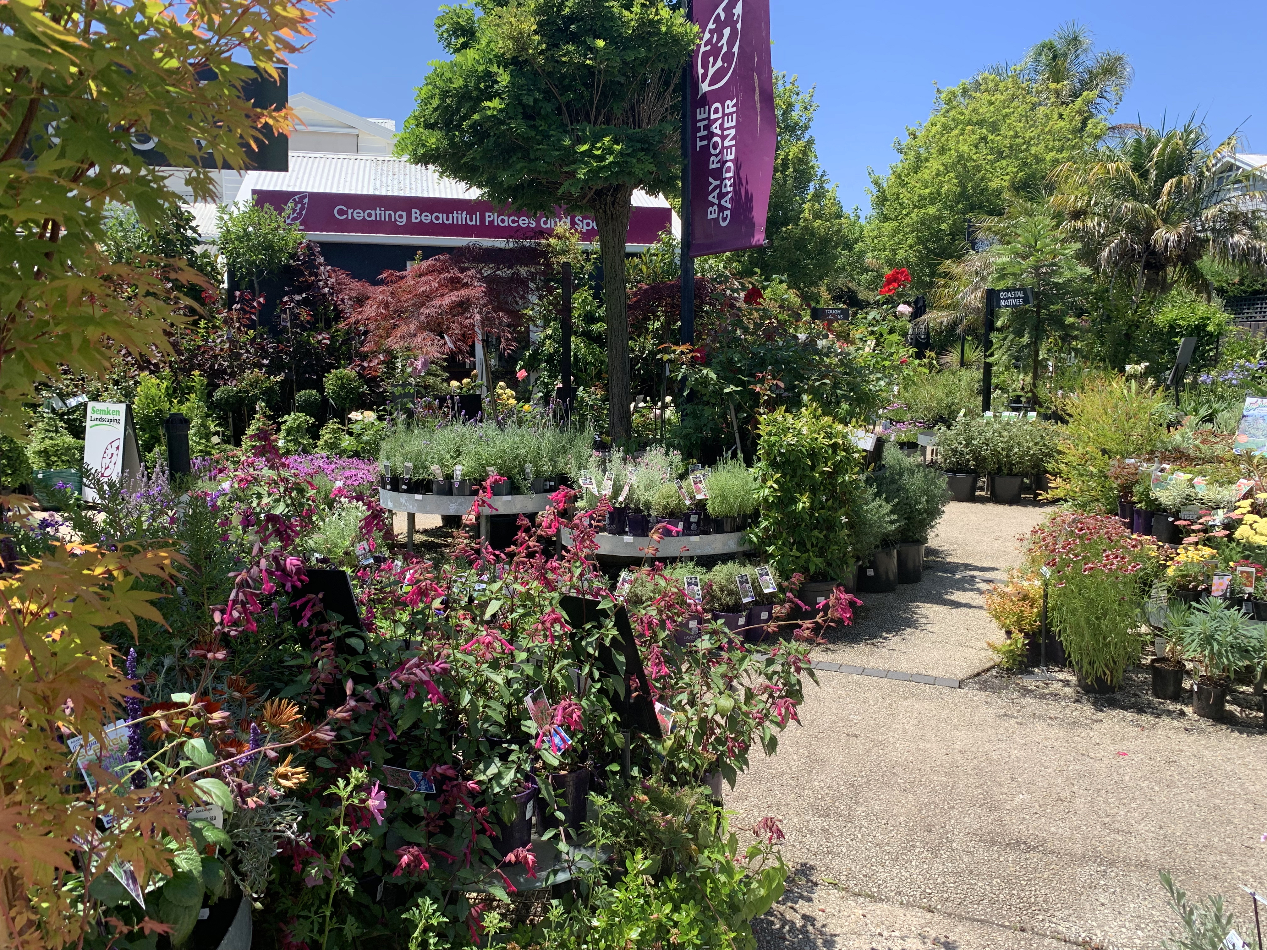 bay road nursery